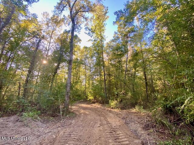 Quinlivan Road Magnolia, MS 39652 - Photo 1 of 23 IMG_7316 (1)