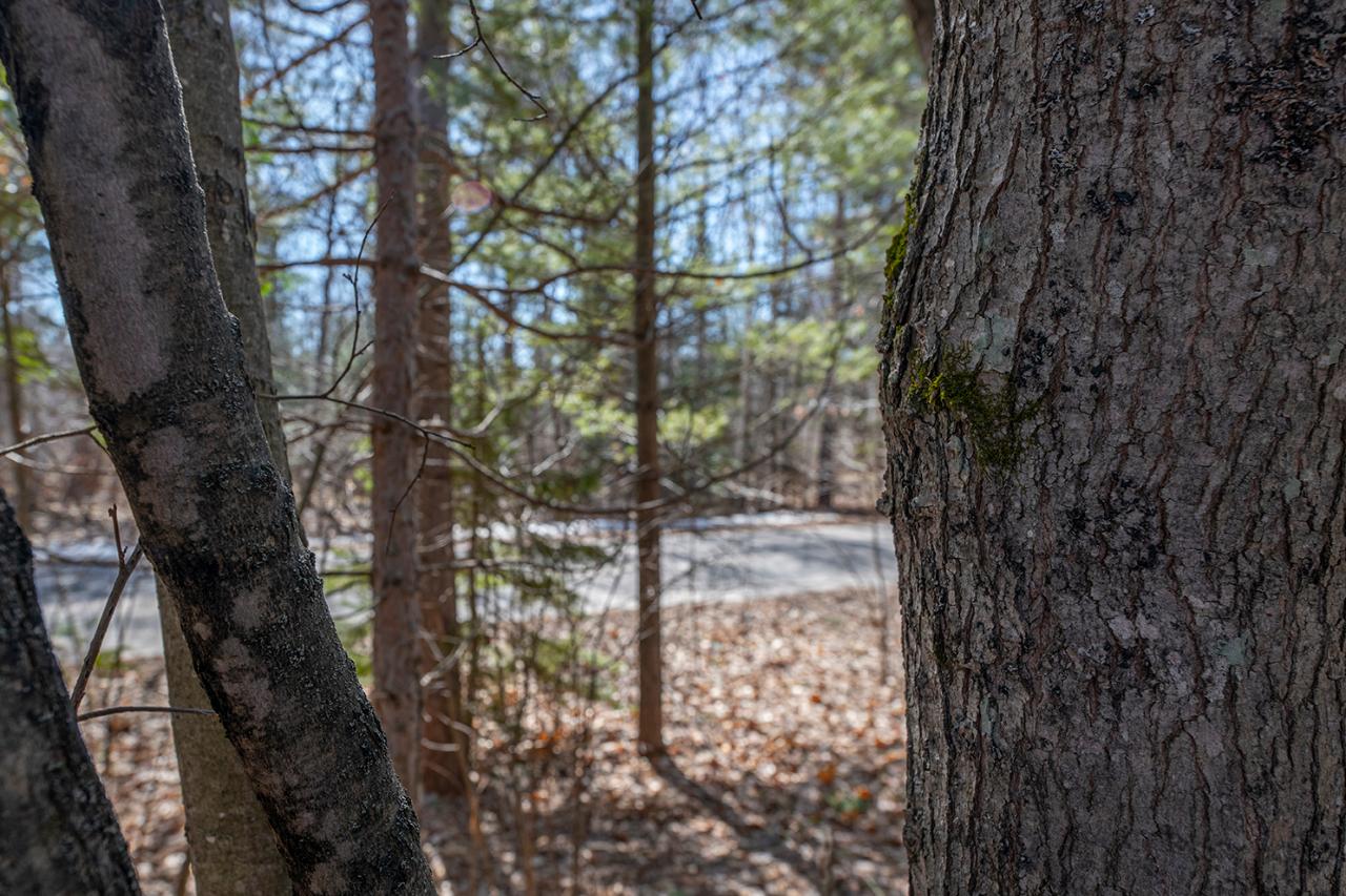 On Loggers Run Road, Unit LOT Eagle River, WI 54521 - Photo 6 of 19 Gallery Image 6