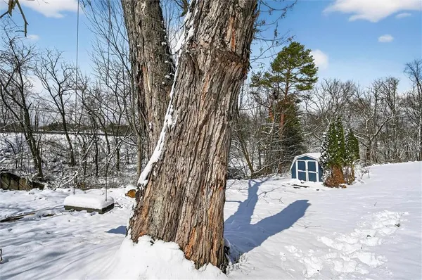 a view of a wooden house next to a large tree