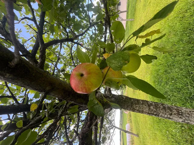 $674,500 | 23685 County Rd H, Shell Lake, WI 54871