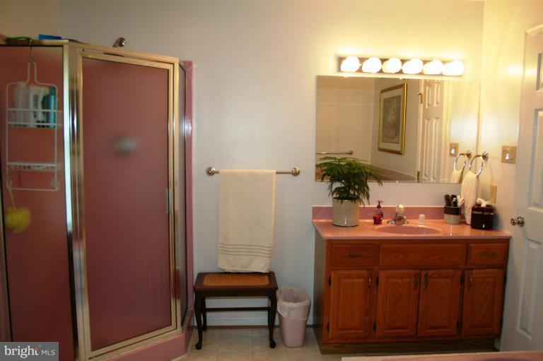 8916 Dollyhyde Road Union Bridge, MD 21791 - Photo 21 of 24 Bath (Master)