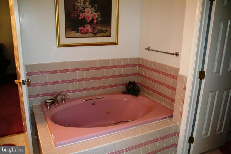 8916 Dollyhyde Road Union Bridge, MD 21791 - Photo 4 of 24 Bath (Master)