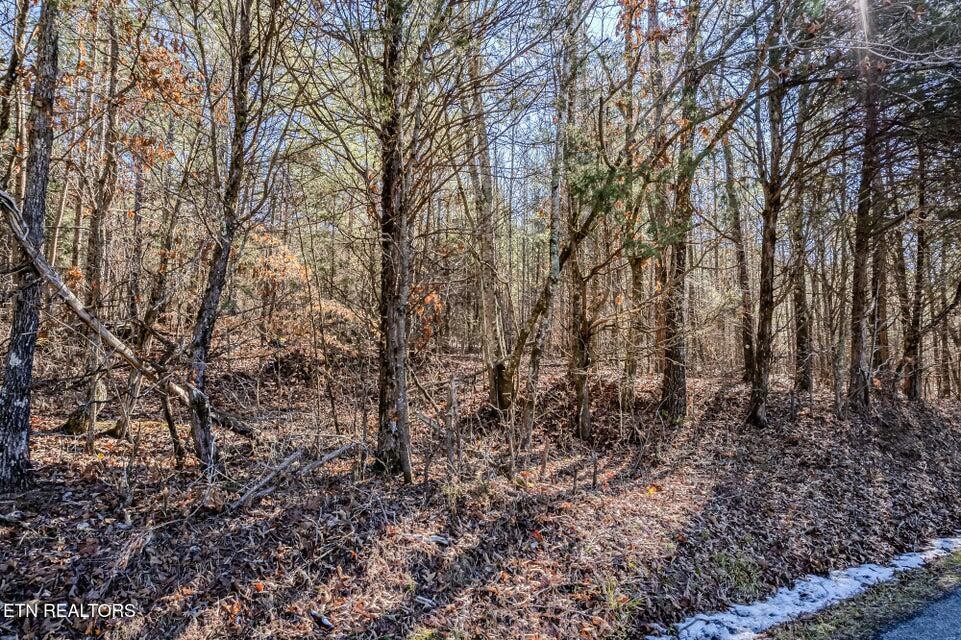 5 South NoPone Vly Road Athens, TN 37303 - Photo 3 of 12