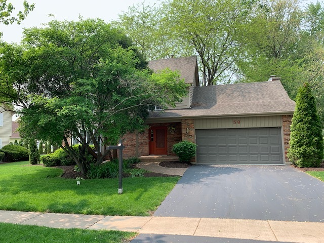 a backyard of a house with plants and large tree