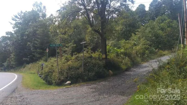 a view of a yard with fountain