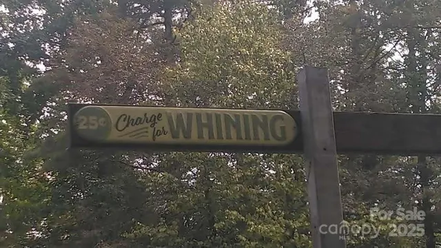 a view of a forest that has large trees