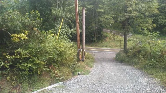 a view of a forest with trees