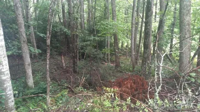 $75,000 | 7360 Highway 183, Newland, NC 28657