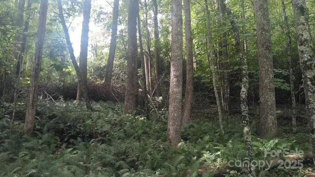 a view of backyard with green space