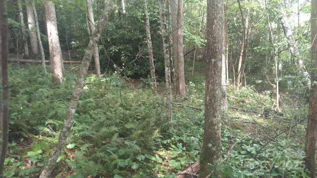 a close up of a sink and a stove