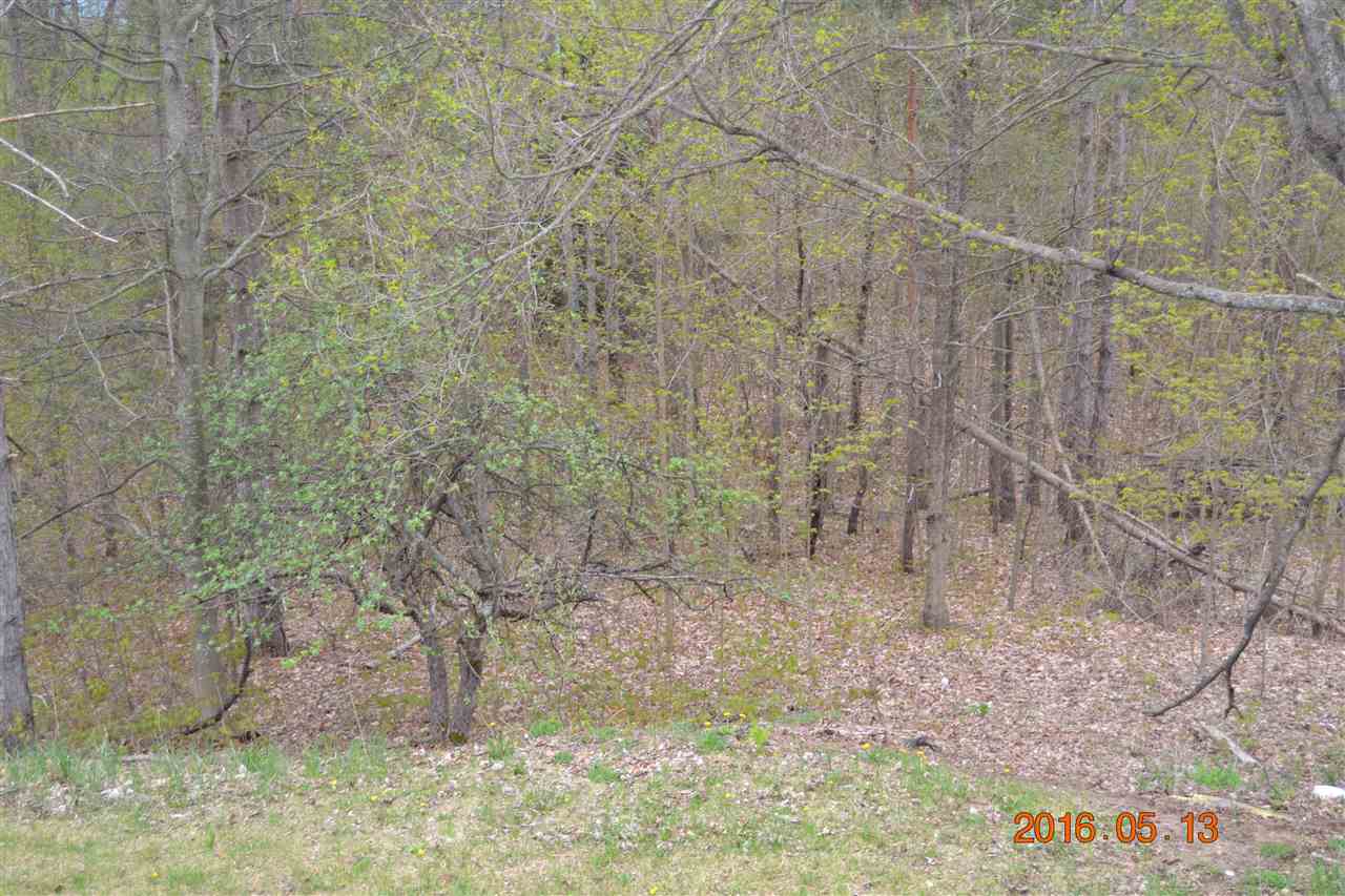 14425 Rosa Road Beulah, MI 49617 - Photo 5 of 34 1816434-4.JPG