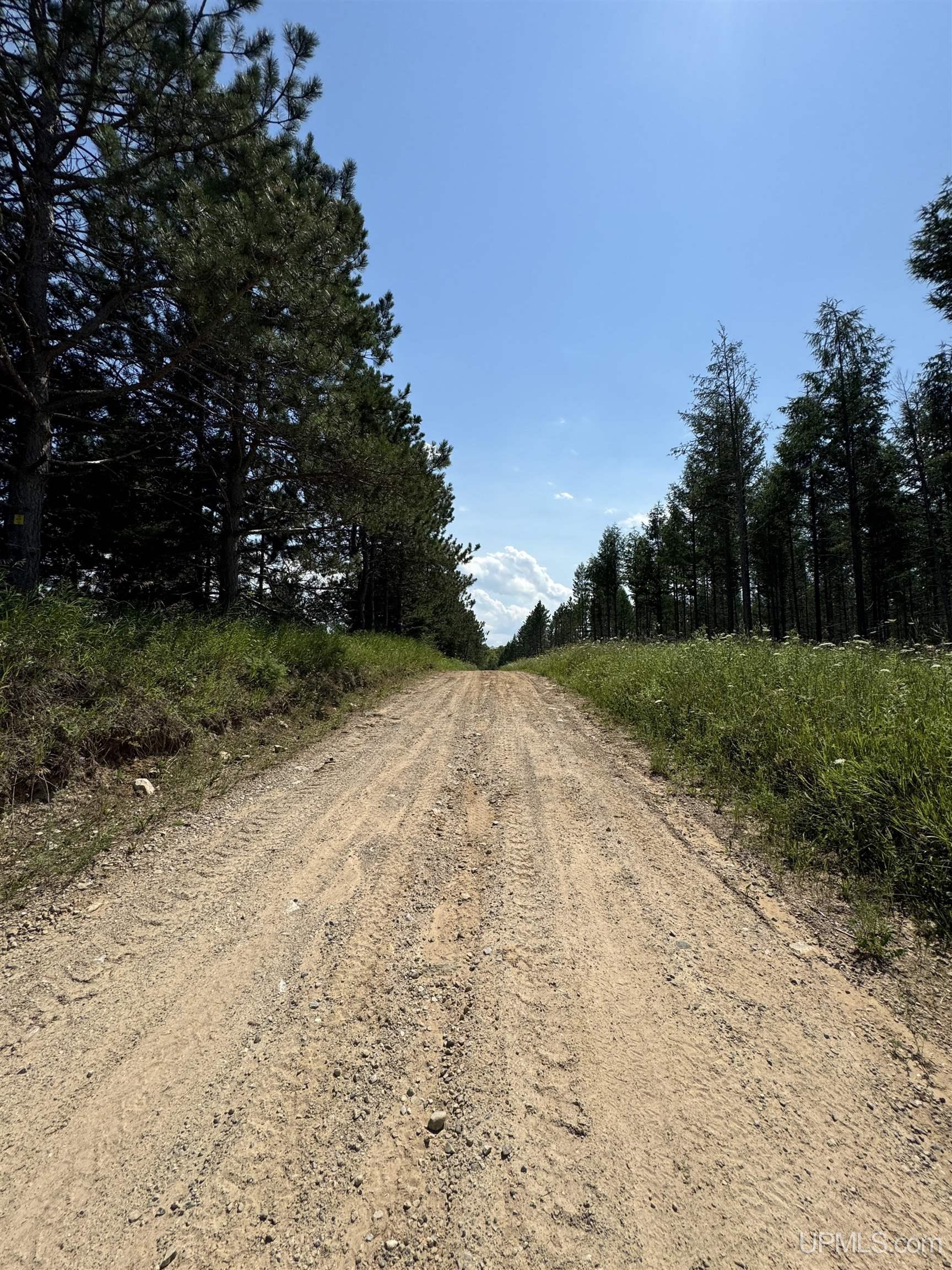 Tbd Cr 557 Road Perronville, MI 49873 - Photo 26 of 27