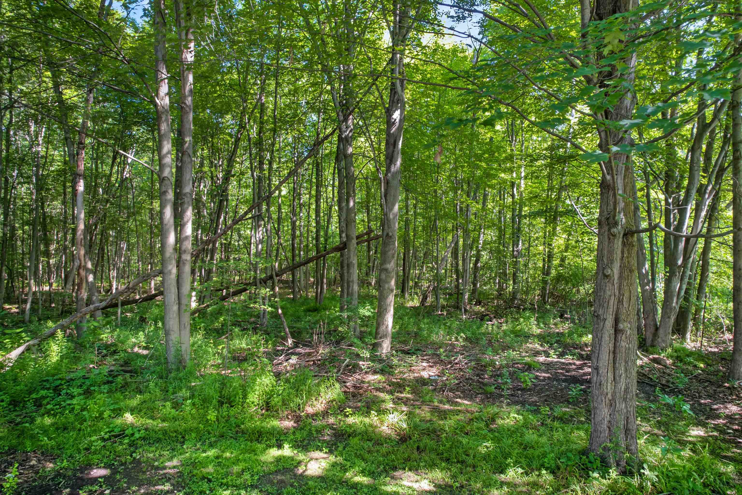 249 East Bradford Road Midland, MI 48640 - Photo 50 of 66