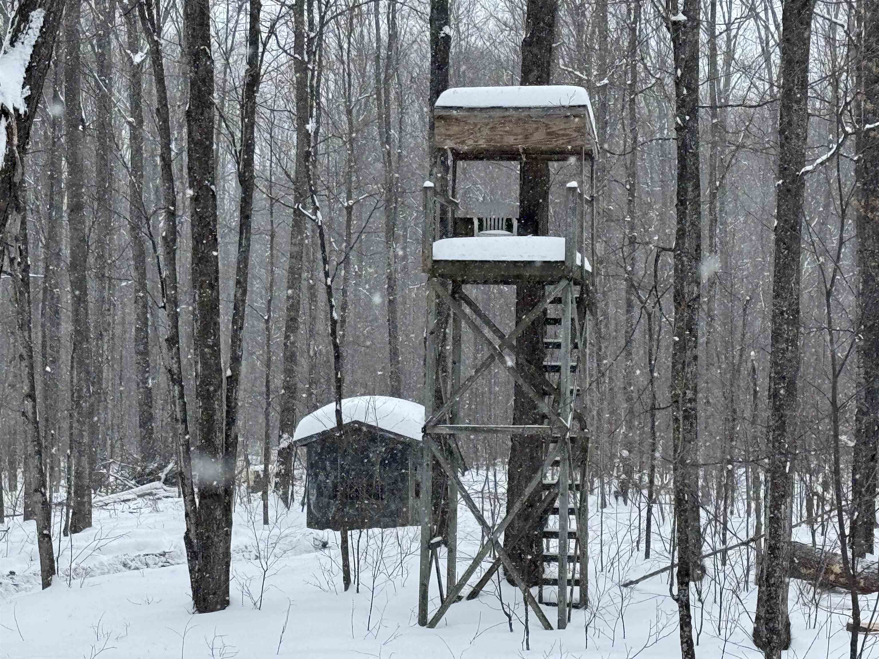-dreffs Off McCoy Road Gaylord, MI 49735 - Photo 4 of 14