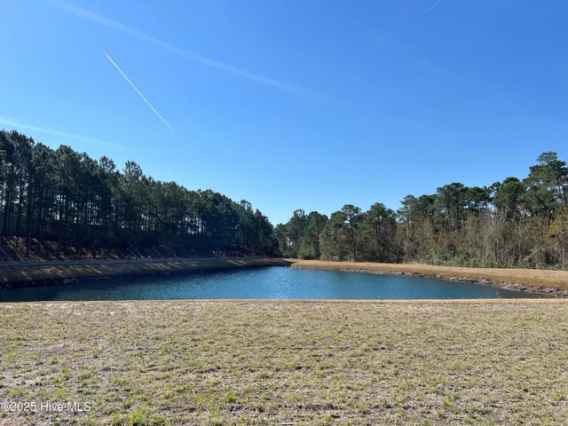 $295,000 | 1216 Bella Vista Lane Northeast, Leland, NC 28451