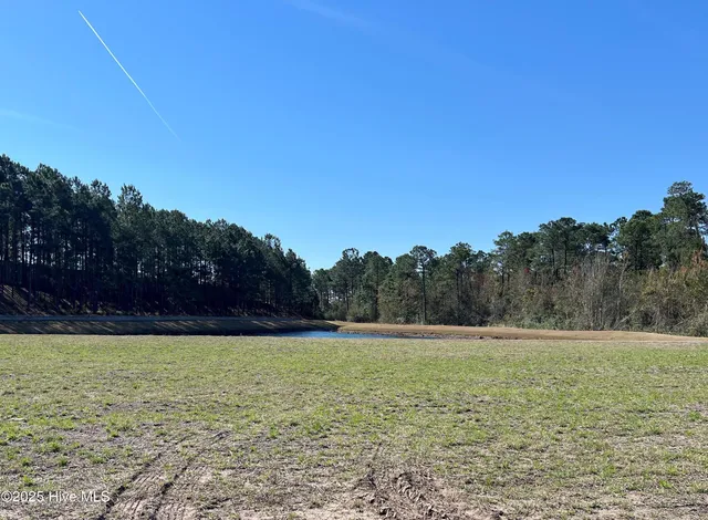 $295,000 | 1216 Bella Vista Lane Northeast, Leland, NC 28451