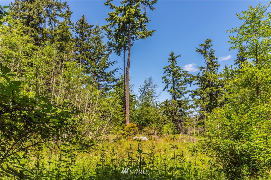 -xxx Thompson Road Langley, WA 98260 - Photo 1 of 12 Gallery Image 1