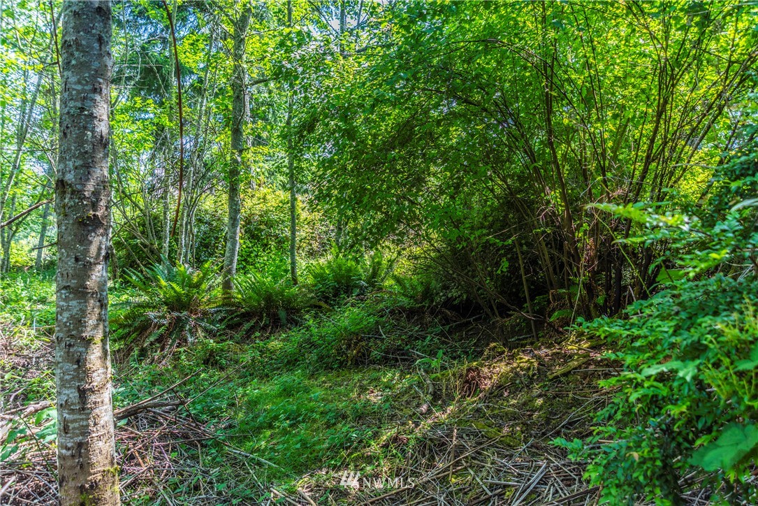 -xxx Thompson Road Langley, WA 98260 - Photo 3 of 12 Gallery Image 3