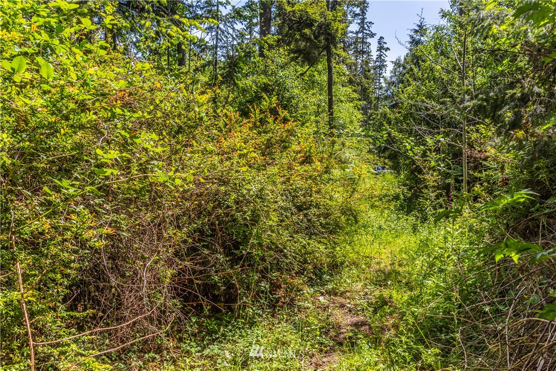 -xxx Thompson Road Langley, WA 98260 - Photo 4 of 12 Gallery Image 4