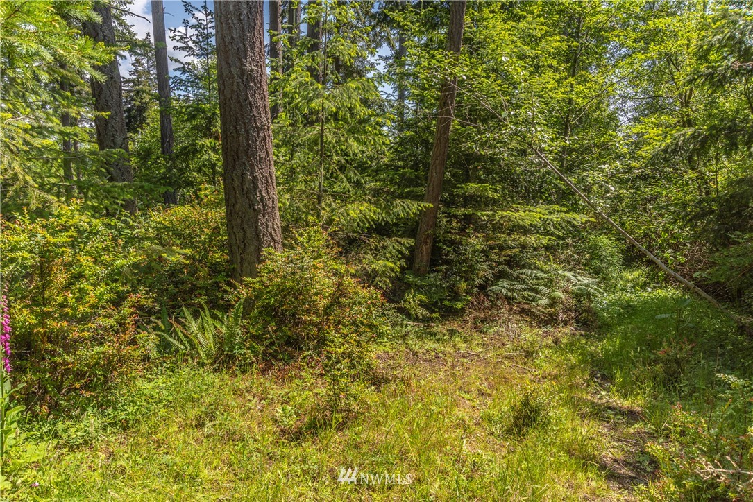 -xxx Thompson Road Langley, WA 98260 - Photo 5 of 12 Gallery Image 5