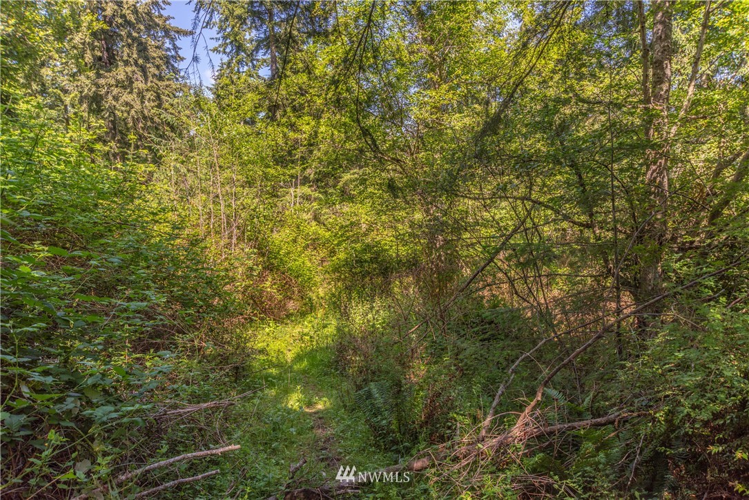 -xxx Thompson Road Langley, WA 98260 - Photo 6 of 12 Gallery Image 6