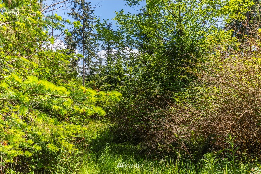 -xxx Thompson Road Langley, WA 98260 - Photo 7 of 12 Gallery Image 7