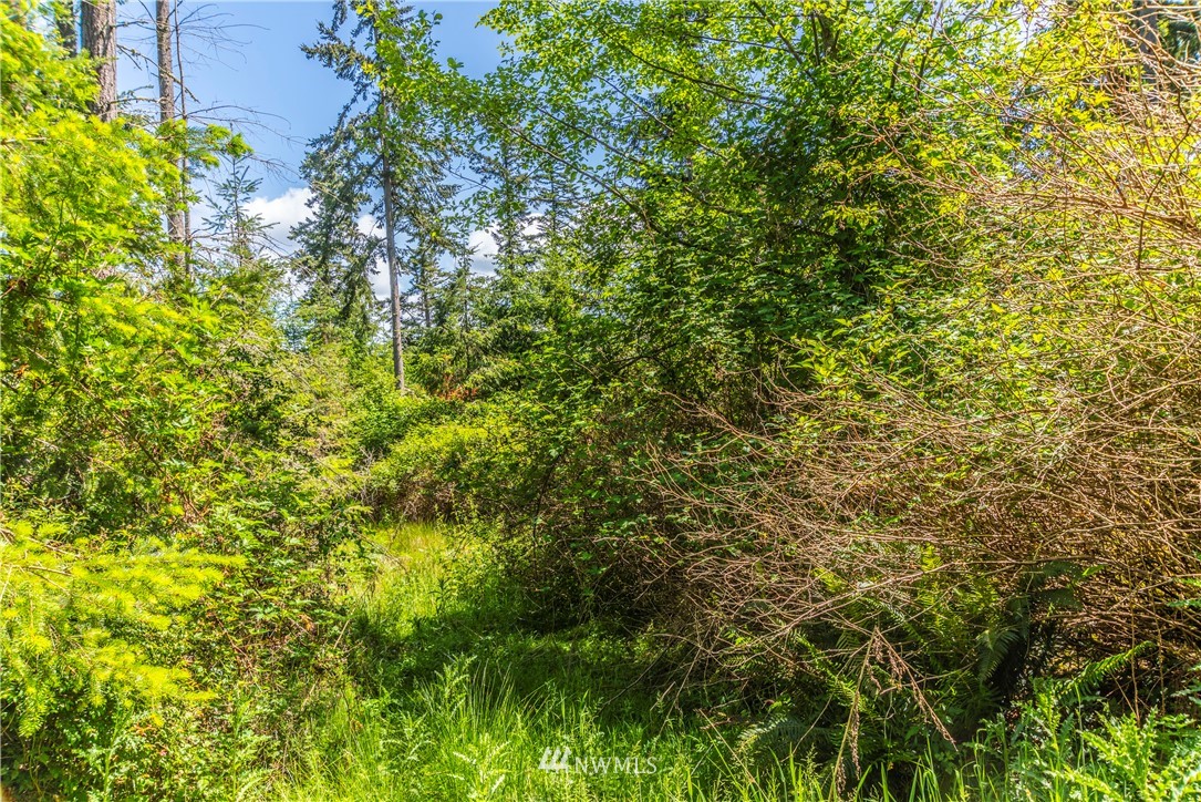 -xxx Thompson Road Langley, WA 98260 - Photo 8 of 12 Gallery Image 8