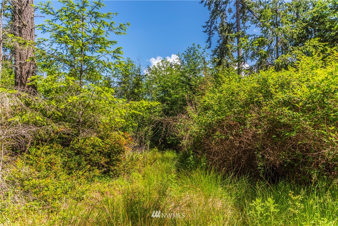 -xxx Thompson Road Langley, WA 98260 - Photo 9 of 12 Gallery Image 9