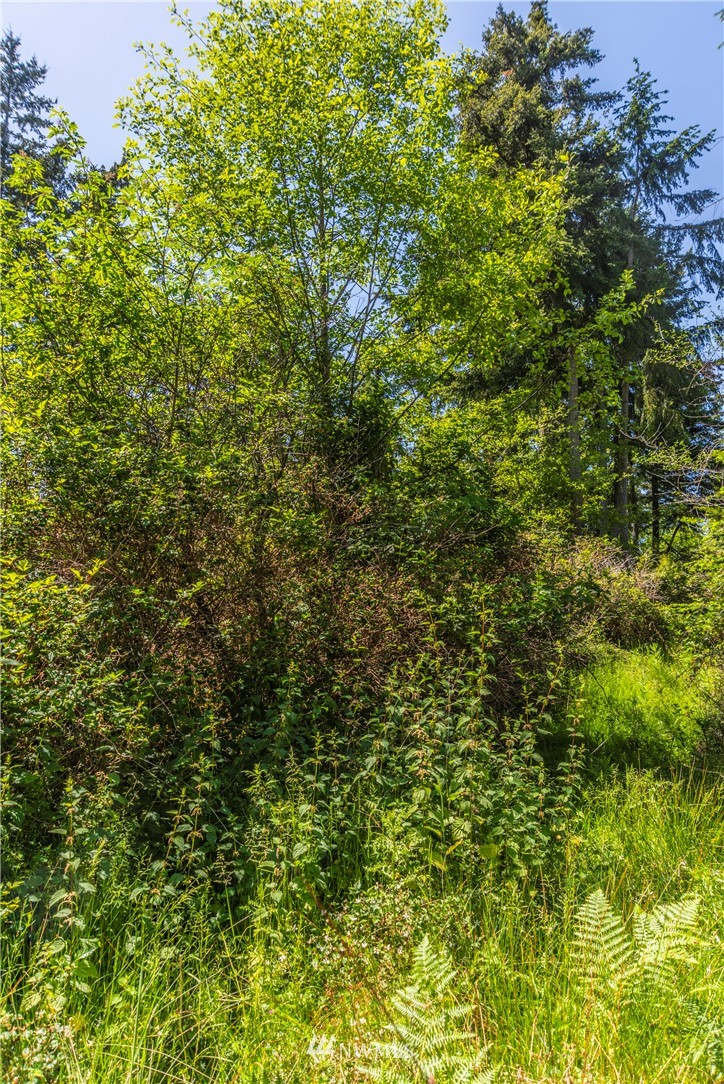-xxx Thompson Road Langley, WA 98260 - Photo 10 of 12 Gallery Image 10