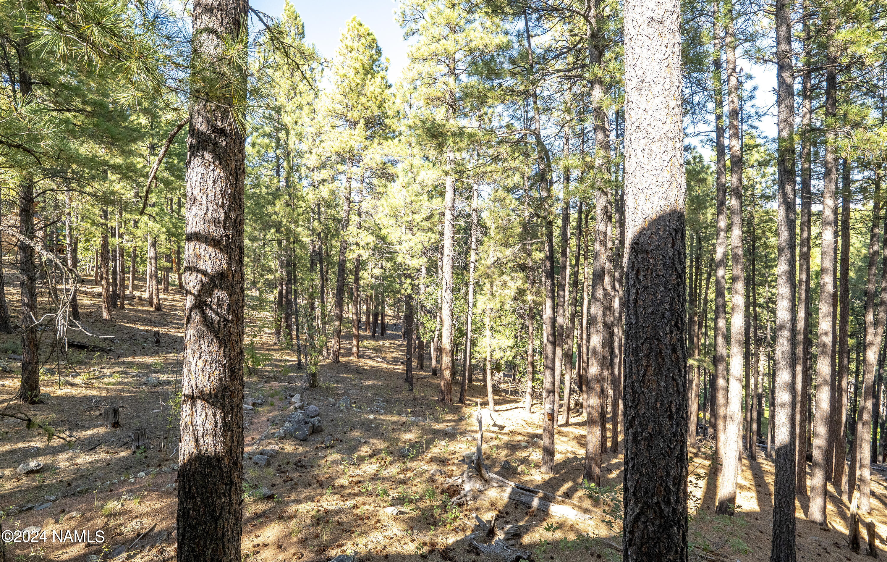 4644 Griffiths Spring Flagstaff, AZ 86005 - Photo 6 of 35 P1589196