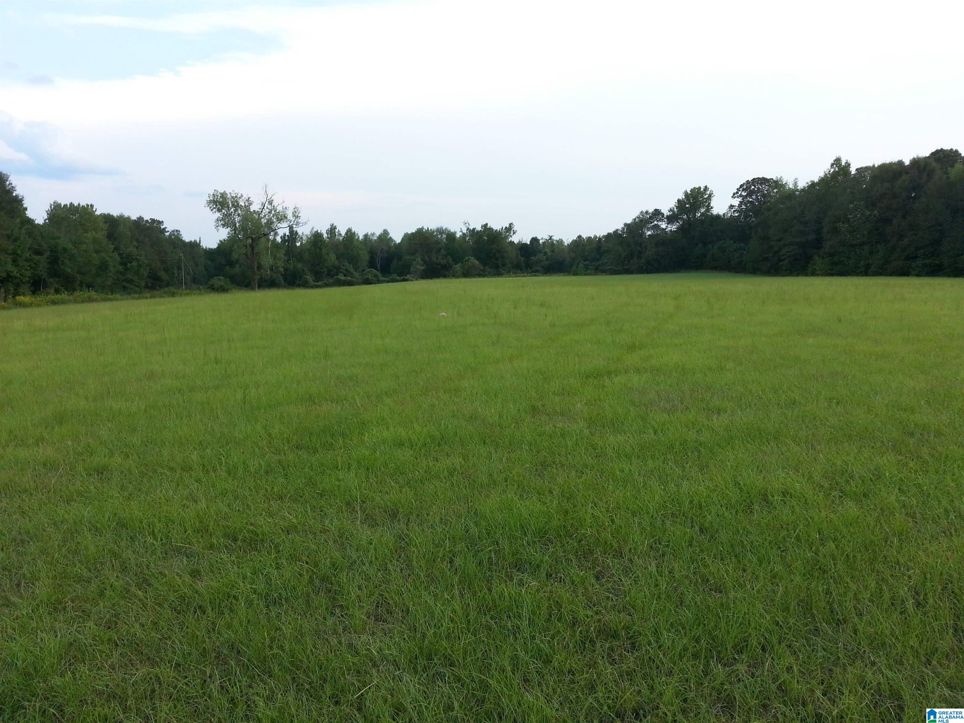 0 County Road 89 Fayette, AL 35555 - Photo 1 of 8