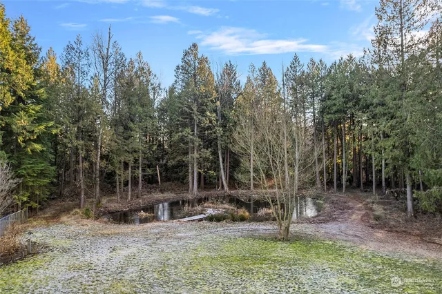 a view of a bench in the forest