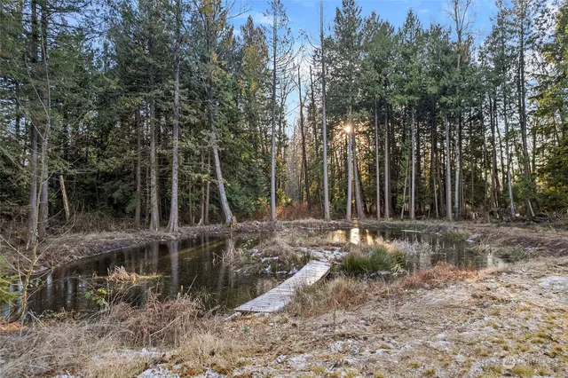 a view of outdoor space with trees all around