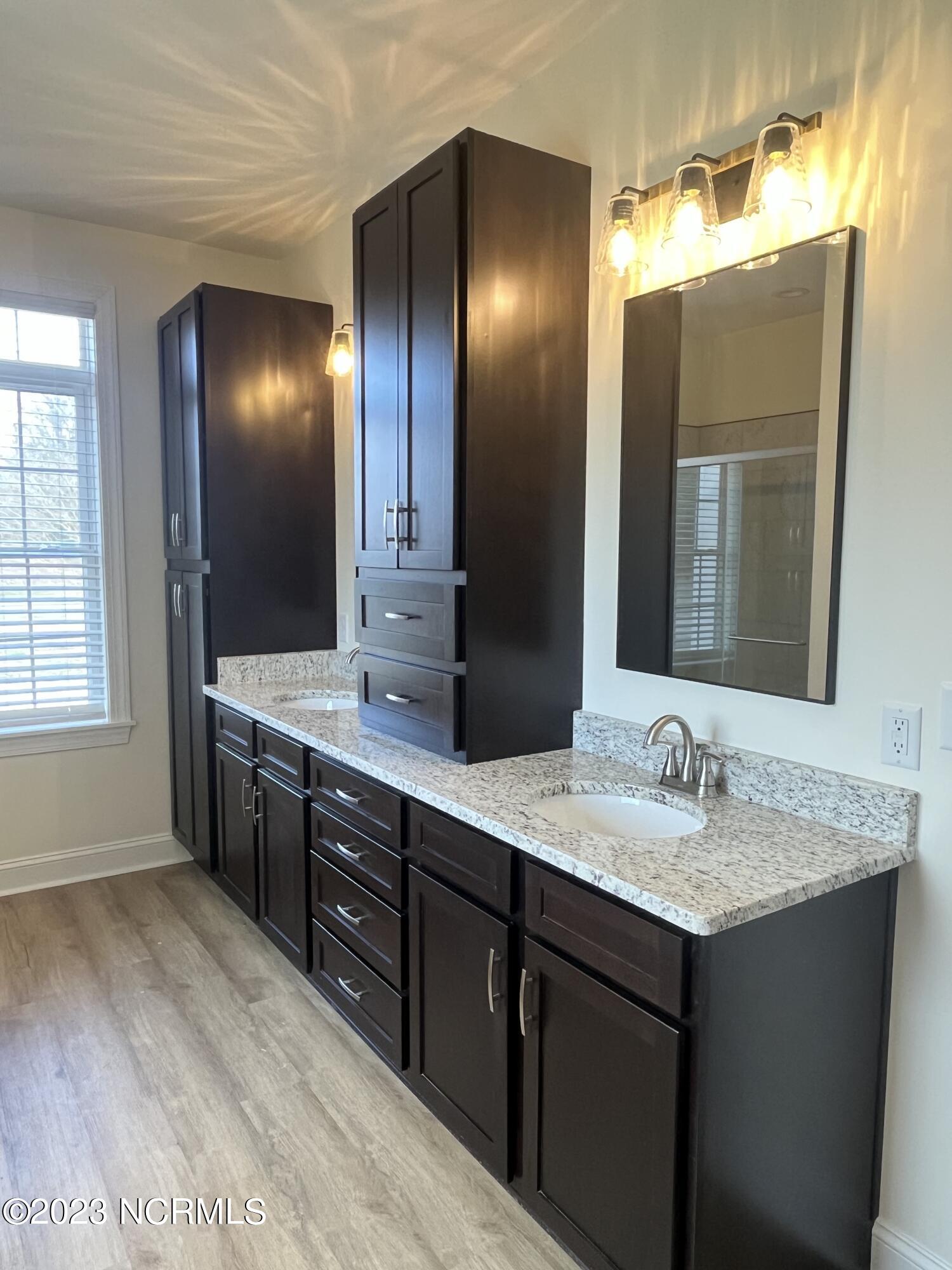 112 Chowan Drive Winton, NC 27986 - Photo 28 of 63 Primary Bath Vanities