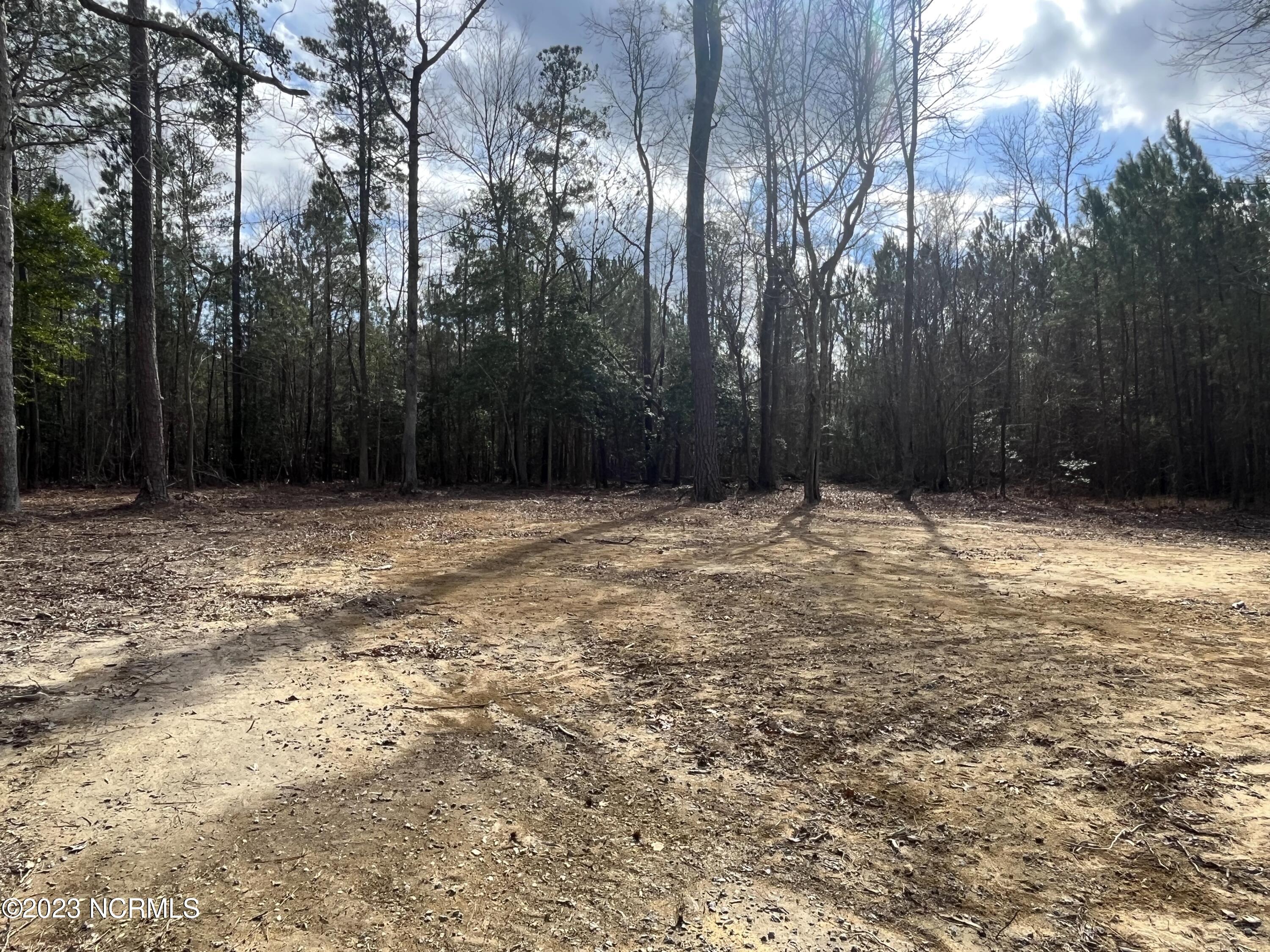 112 Chowan Drive Winton, NC 27986 - Photo 62 of 63 Back Yard