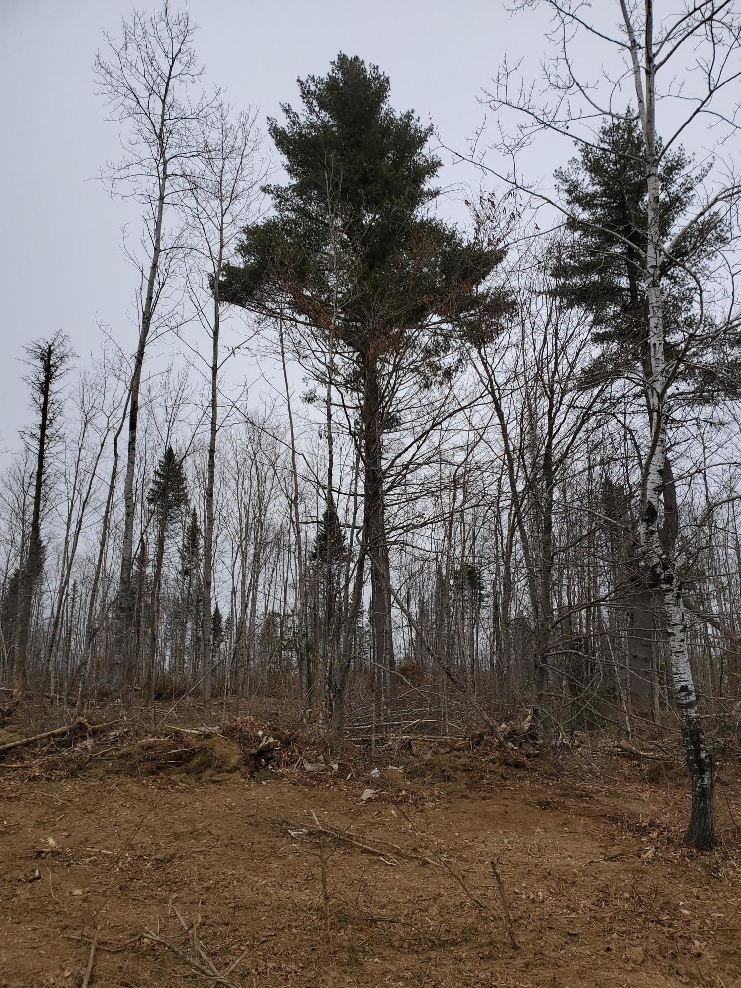 1338 White Settlement Road Houlton, ME 04730 - Photo 2 of 5 20201119_123149