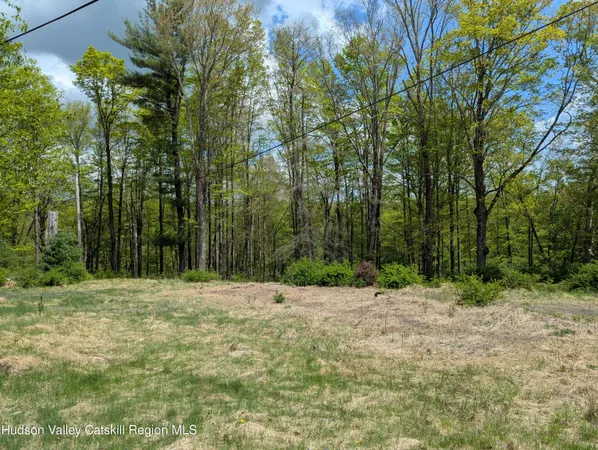 a view of outdoor space with trees all around
