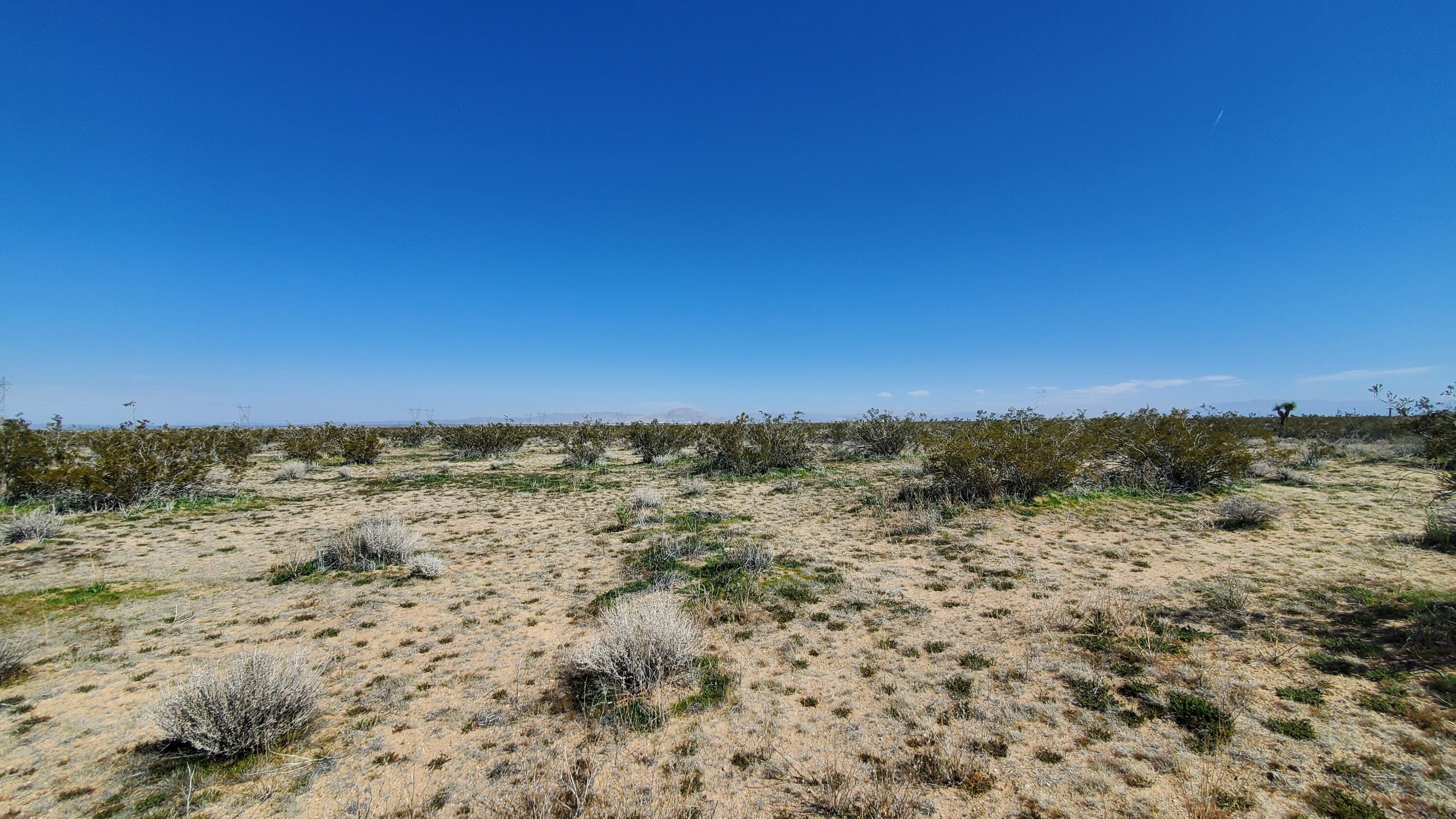 Holly Road Adelanto, CA 92301 - Photo 14 of 33 20240229_124153