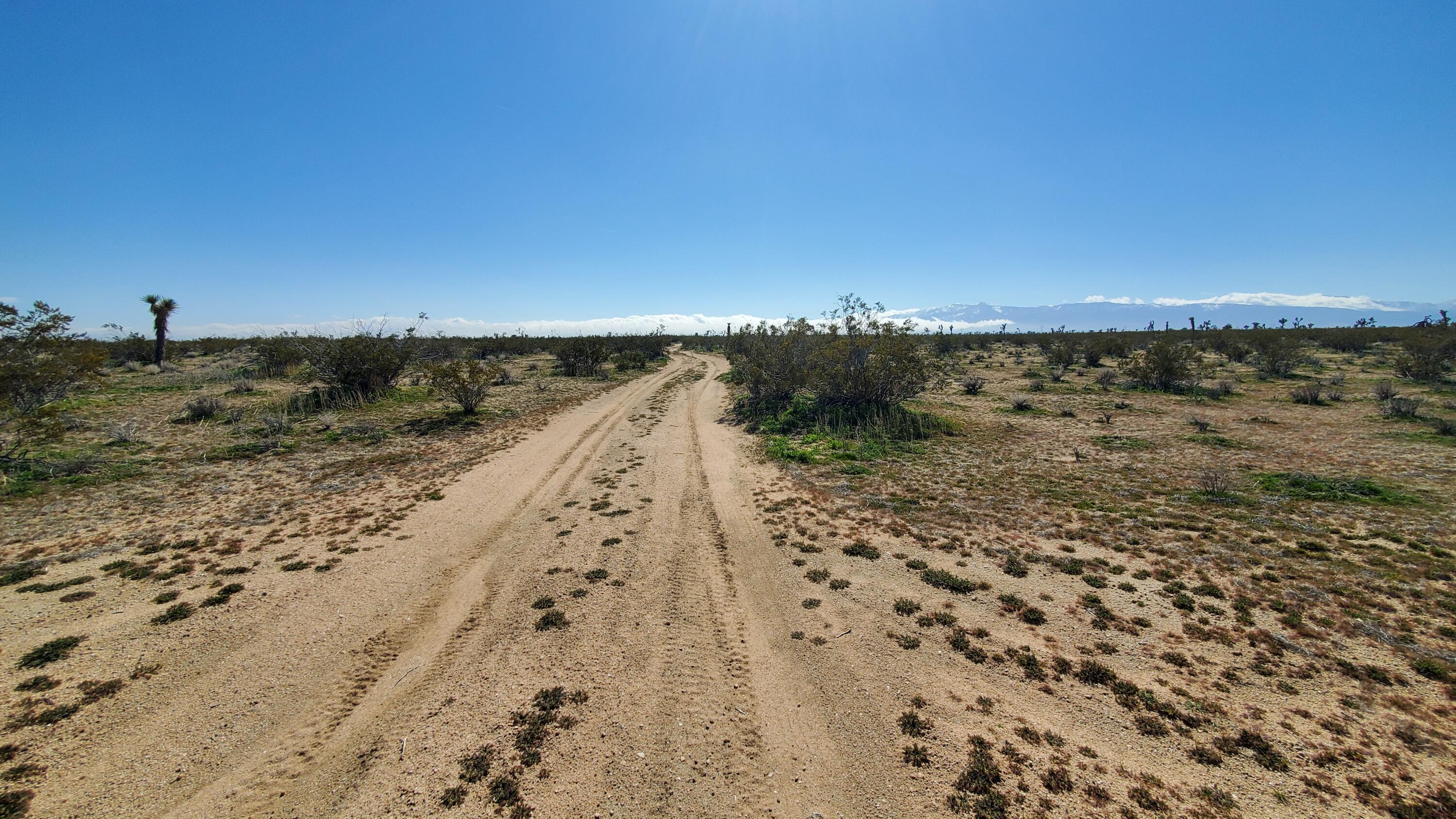 Holly Road Adelanto, CA 92301 - Photo 8 of 33 20240229_123832