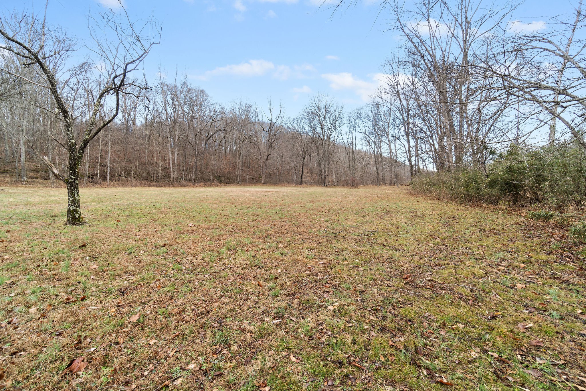 147 Pumpkin Valley Road Indian Mound, TN 37079 - Photo 33 of 37 Gallery Image 33