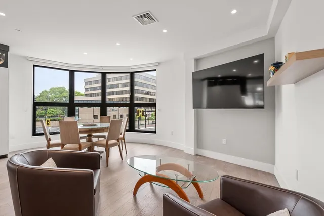 a living room with furniture and a potted plant