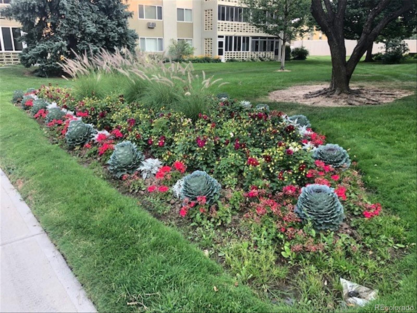 9155 Center Avenue, Unit 3B Denver, CO 80247 - Photo 47 of 50 a view of a garden with flowers and trees
