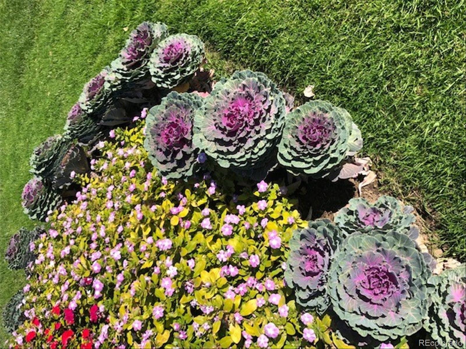 9155 Center Avenue, Unit 3B Denver, CO 80247 - Photo 48 of 50 a view of a flowers in a lot of flowers