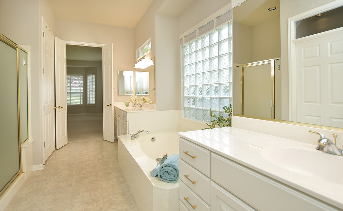 120 Golf View Drive Georgetown, TX 78633 - Photo 22 of 32 Glass block assures lots of natural light into the primary bath.