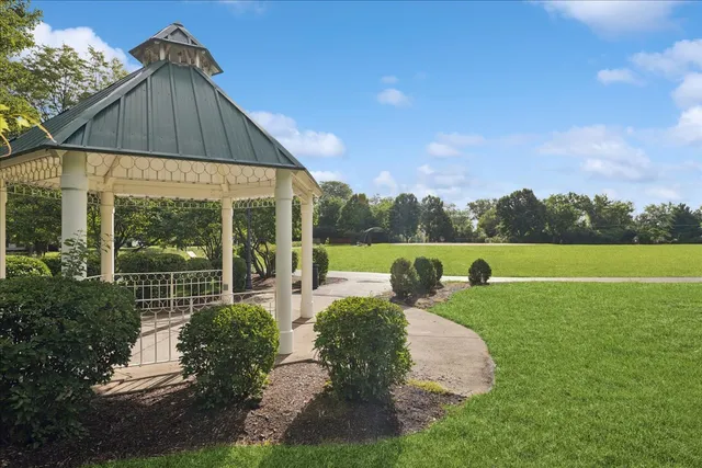 a view of a park with slide
