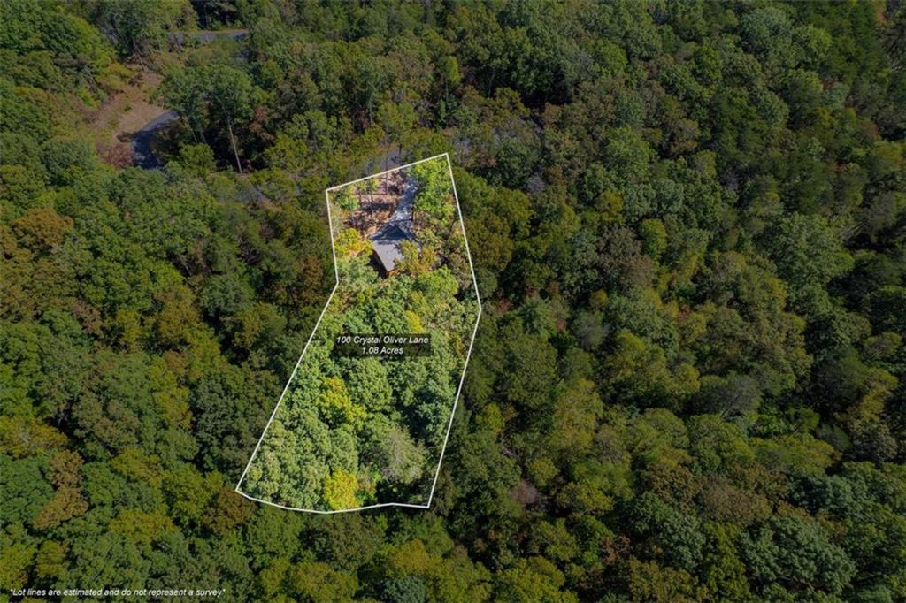 100 Crystal Oliver Lane Blue Ridge, GA 30513 - Photo 24 of 24