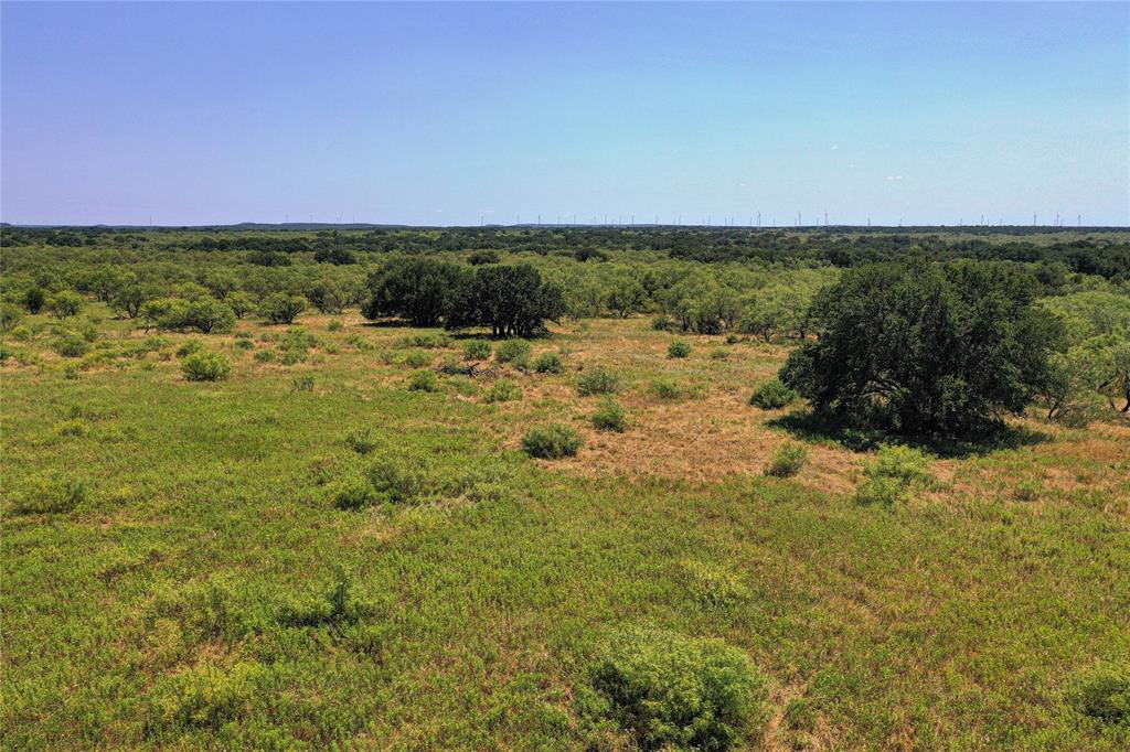 1259 Roney Road Jacksboro, TX 76458 - Photo 16 of 40 a view of a field with an ocean