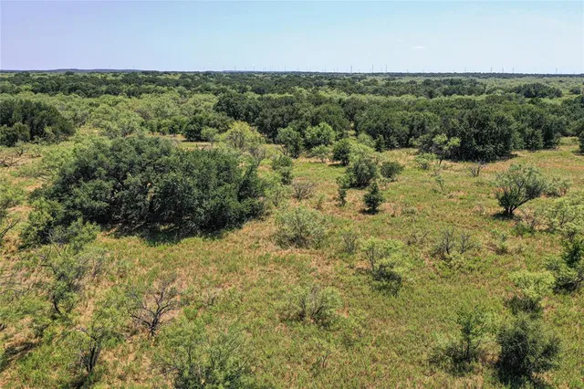 a view of a green field with lots of trees in it