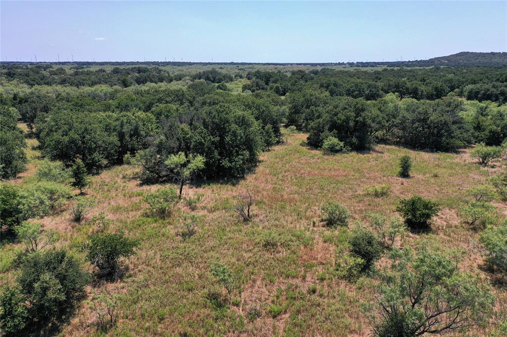 1259 Roney Road Jacksboro, TX 76458 - Photo 19 of 40 a view of a dry yard with green space