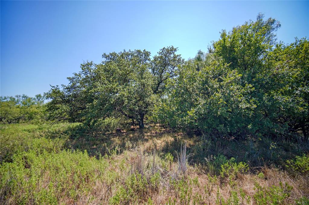 1259 Roney Road Jacksboro, TX 76458 - Photo 2 of 40 a view of a lake with a tree